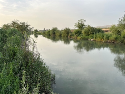 תמונה של נהר הירדן ליד קיבוץ חולתה